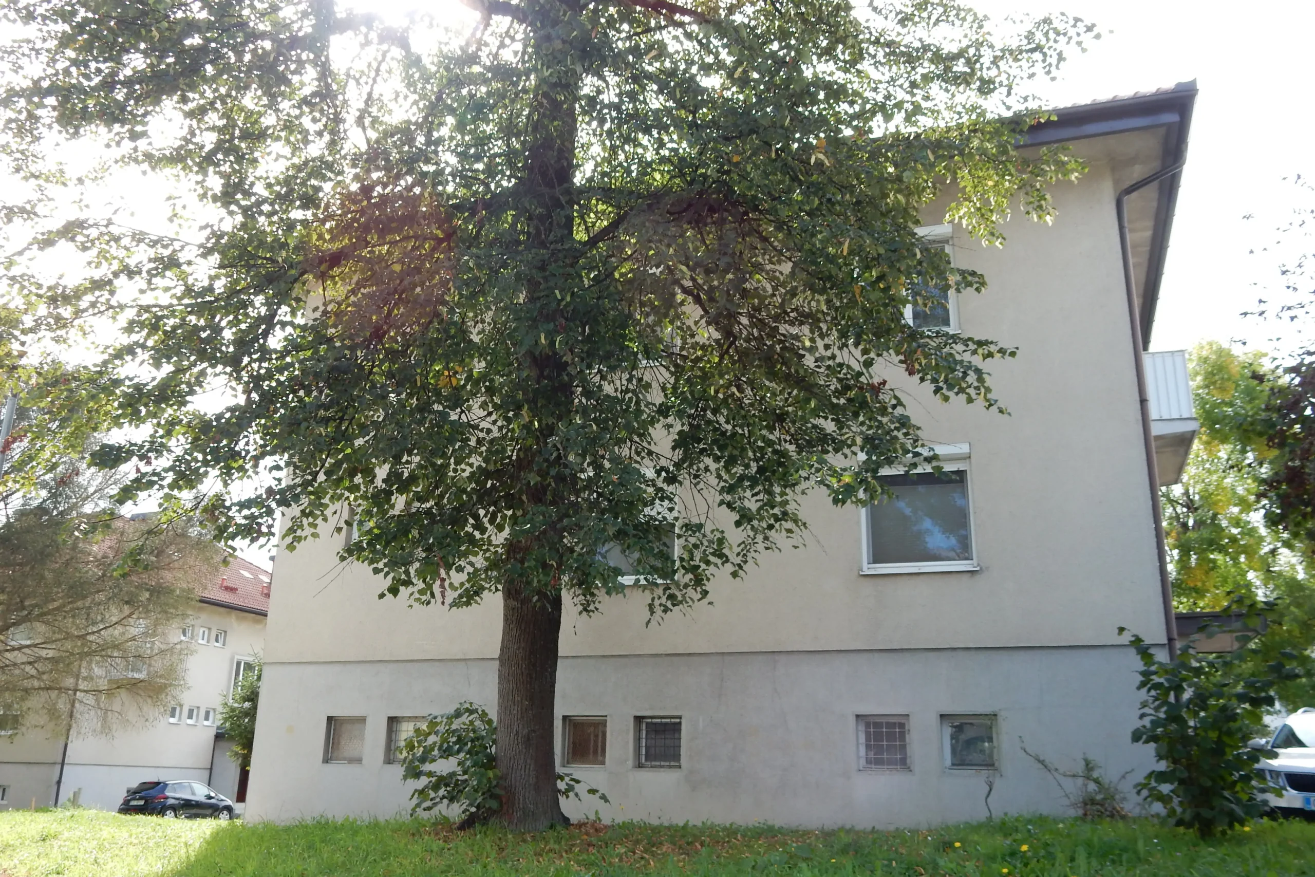 Jurčičeva cesta 6, Velenje